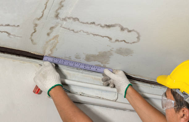 Reliable Mold Remediation contractor in Hayesville, OH by Water Damage Irwin